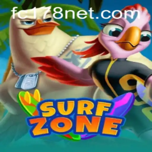 Unraveling the Excitement of SurfZone and the Mystery of FC178